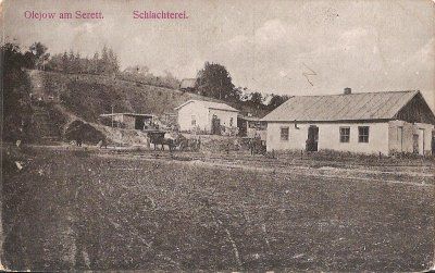 Olejów pocztówka Feldpost 1917